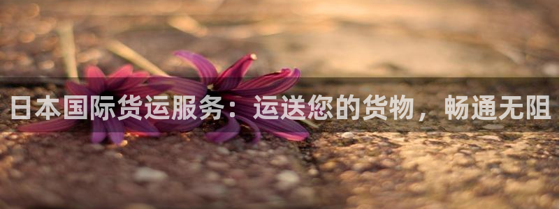 尊龙人生就是-首页：日本国际货运服务：运送您的货物，畅通