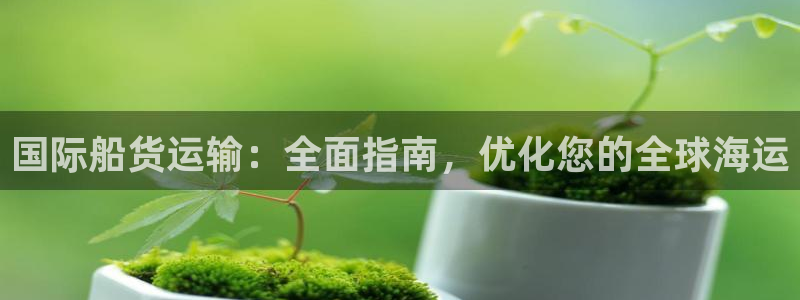 尊龙目前在哪：国际船货运输：全面指南，优化您的全球海运
