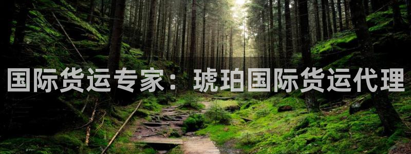 ag尊龙凯时俱乐部：国际货运专家：琥珀国际货运代理