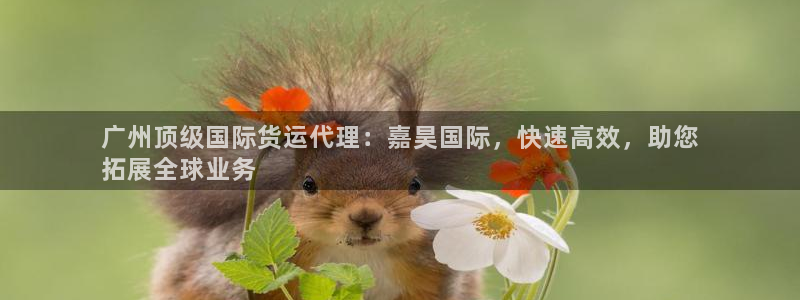 尊龙am i blue：广州顶级国际货运代理：嘉昊国际，