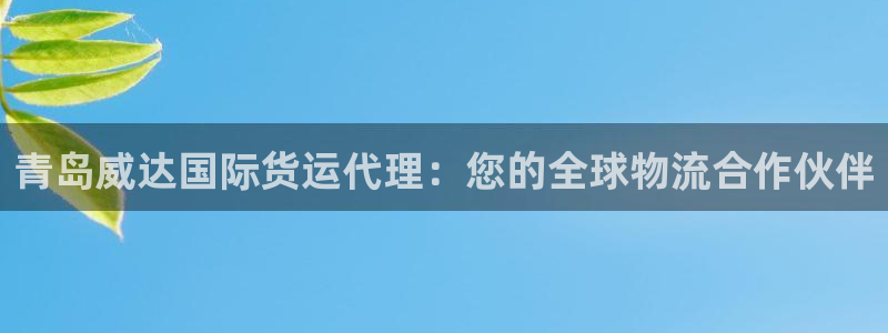 尊龙ag旗舰厅登陆：青岛威达国际货运代理：您的全球物流合