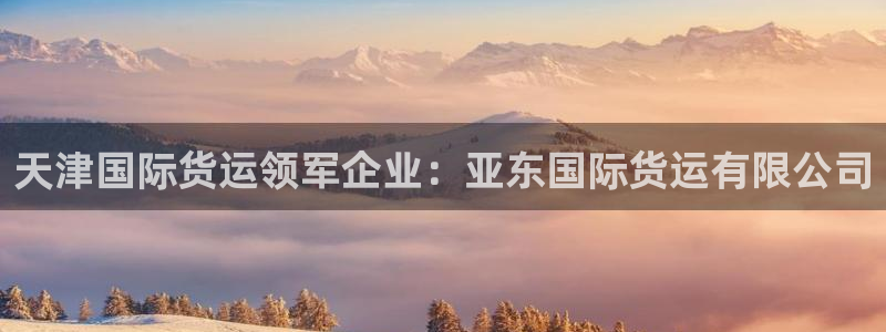 尊龙平台有谁玩过：天津国际货运领军企业：亚东国际货运有限