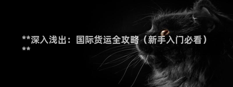 尊龙凯时登入首页：**深入浅出：国际货运全攻略（新手入门