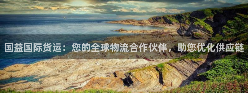 尊龙凯时官网入口：国益国际货运：您的全球物流合作伙伴，助