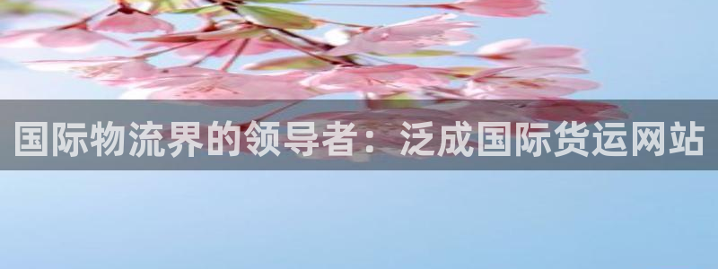 尊龙d88用现推选ag发财网：国际物流界的领导者：泛成国