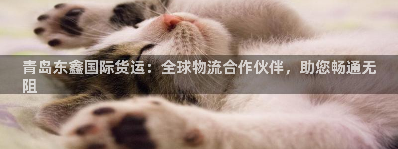 尊龙凯时vip：青岛东鑫国际货运：全球物流合作伙伴，助您