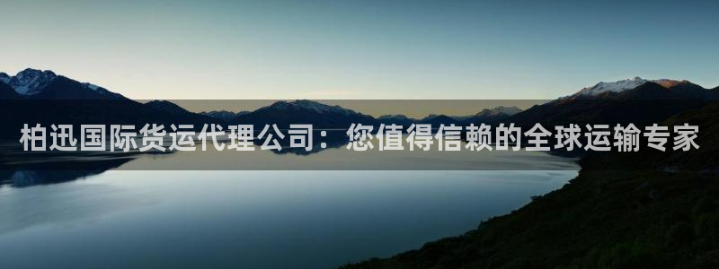 尊龙 国外：柏迅国际货运代理公司：您值得信赖的全球运输专