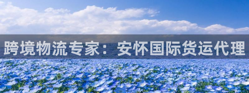 尊龙凯时法拉币：跨境物流专家：安怀国际货运代理
