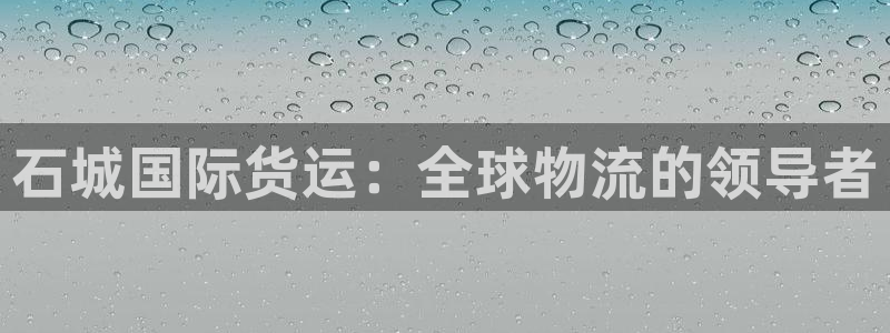 尊龙网站登录：石城国际货运：全球物流的领导者