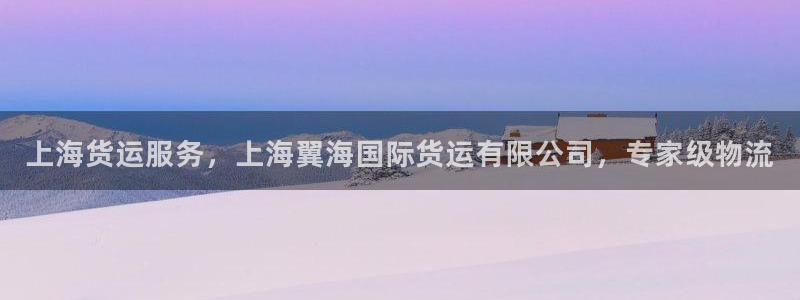 尊龙凯时人生就博官网：上海货运服务，上海翼海国际货运有限