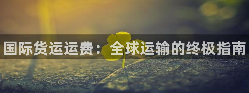 Z6尊龙凯时官方：国际货运运费：全球运输的终极指南