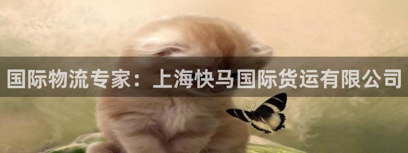 尊龙集团有限公司官网地址：国际物流专家：上海快马国际货运