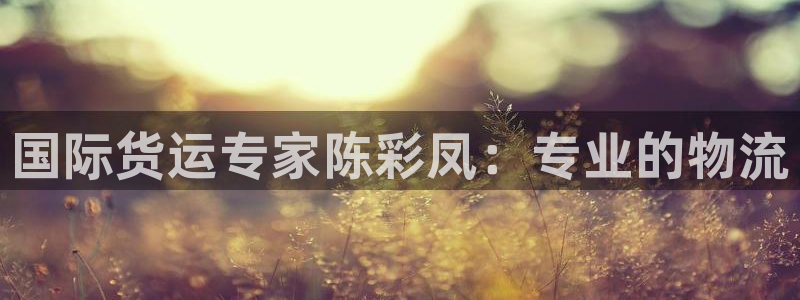 尊龙 ag：国际货运专家陈彩凤：专业的物流