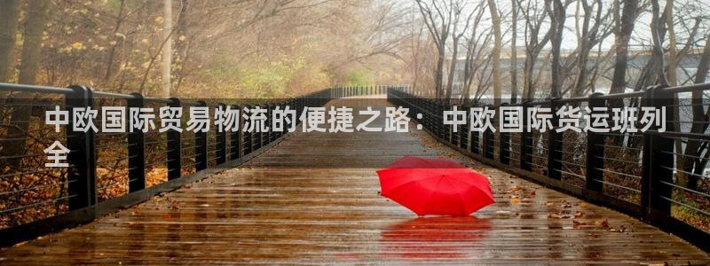 尊龙凯时能提现吗：中欧国际贸易物流的便捷之路：中欧国际货