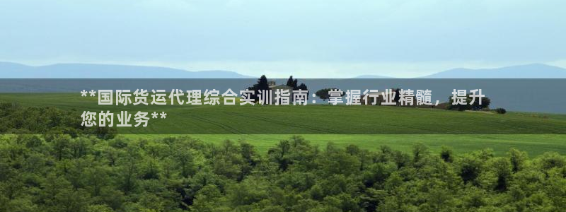 尊龙手机客户端下载：**国际货运代理综合实训指南：掌握行