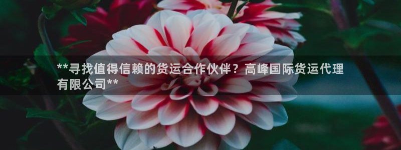 尊龙人生就是博手机版下载：**寻找值得信赖的货运合作伙伴