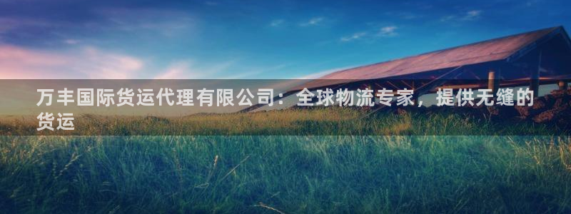 尊龙凯时不给提款：万丰国际货运代理有限公司：全球物流专家