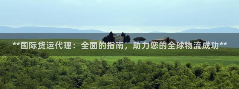 尊龙凯时下载人生就是博：**国际货运代理：全面的指南，助