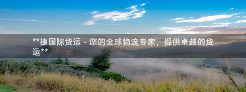 尊龙手机客户端下载：**捷国际货运 - 您的全球物流专家