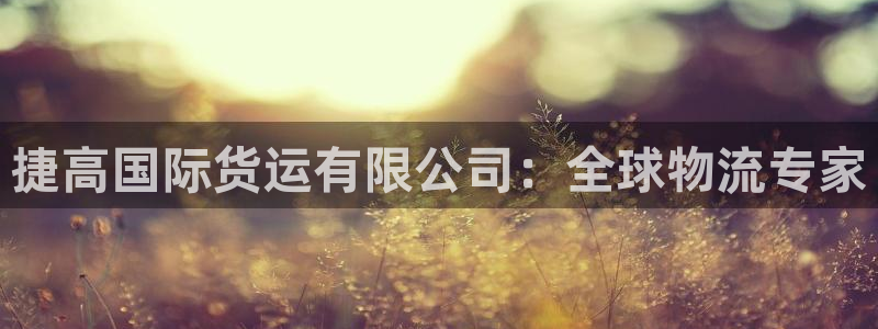 尊龙网址是多少：捷高国际货运有限公司：全球物流专家