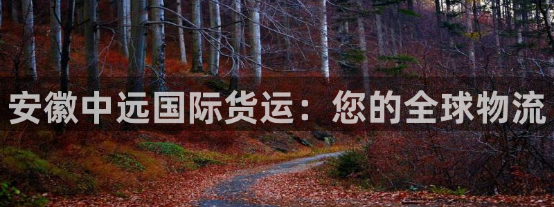 尊龙ag旗舰厅登录 租车app下载：安徽中远国际货运：您