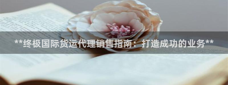 尊龙新版手机app下载：**终极国际货运代理销售指南：打