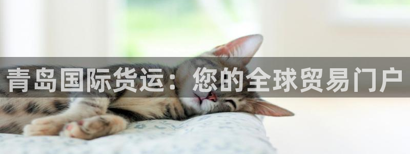 尊龙z6：青岛国际货运：您的全球贸易门户