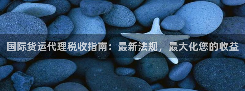 尊龙官方：国际货运代理税收指南：最新法规，最大化您的收益