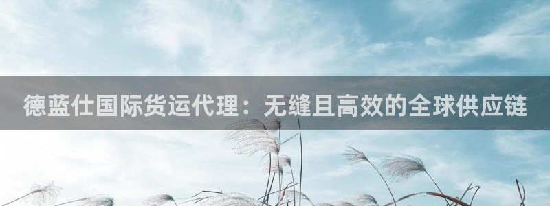 尊龙—人生就是博：德蓝仕国际货运代理：无缝且高效的全球供