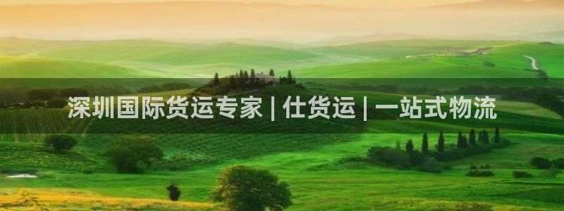 尊龙AG旗舰厅APP：深圳国际货运专家 | 仕货运 | 