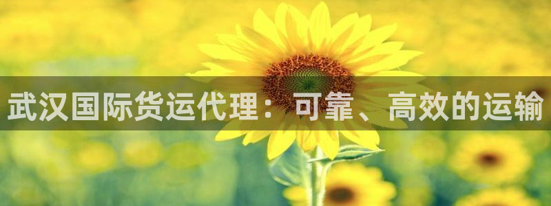 尊龙凯时只输不赢：武汉国际货运代理：可靠、高效的运输