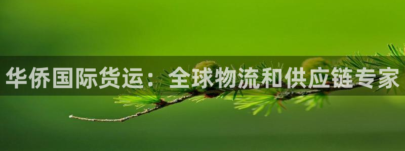 尊龙目前在哪：华侨国际货运：全球物流和供应链专家