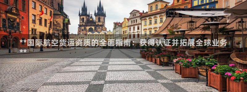 尊龙d88现金 旧版本可靠送38元：**国际航空货运资质