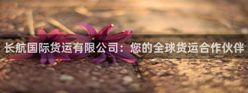 尊龙凯时是直营吗：长航国际货运有限公司：您的全球货运合作