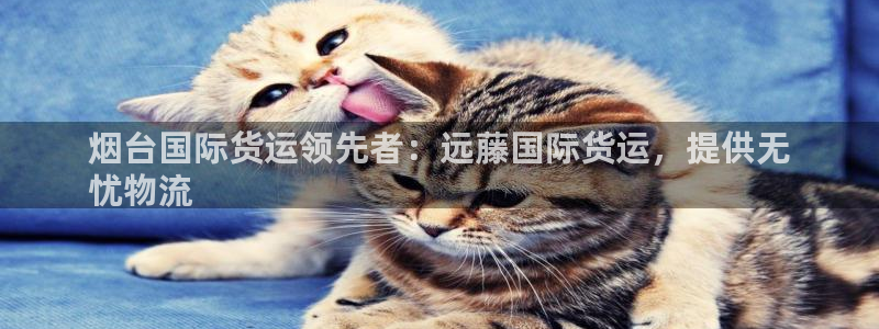 尊龙手机版：烟台国际货运领先者：远藤国际货运，提供无
忧