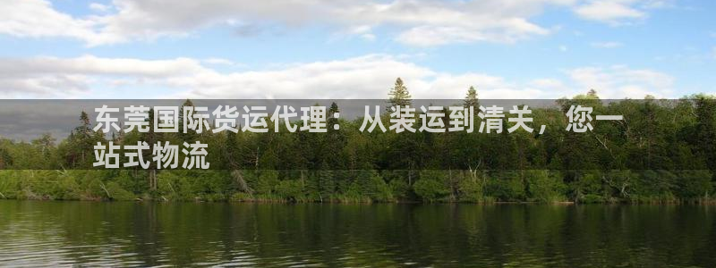 尊龙凯时提不了款：东莞国际货运代理：从装运到清关，您一
