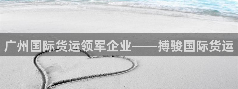 尊龙凯时泰安：广州国际货运领军企业——搏骏国际货运