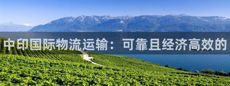 尊龙体育怎么样：中印国际物流运输：可靠且经济高效的