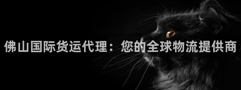 尊龙凯时官网首页：佛山国际货运代理：您的全球物流提供商