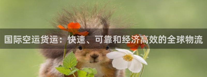 尊龙集团官网：国际空运货运：快速、可靠和经济高效的全球物