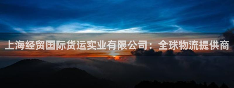 尊龙一人生就是博电子游戏：上海经贸国际货运实业有限公司：