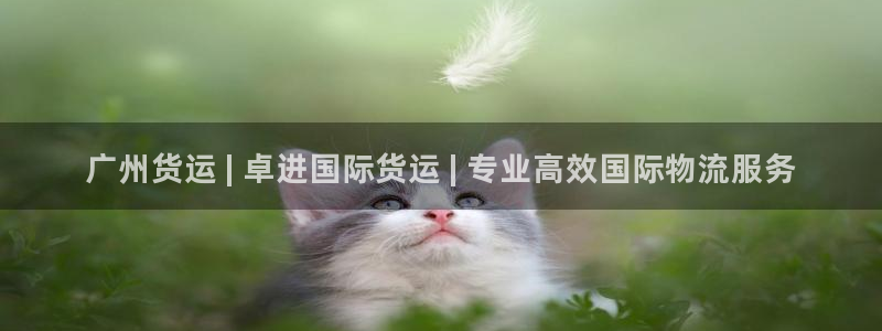 尊龙官网地址：广州货运 | 卓进国际货运 | 专业高效国