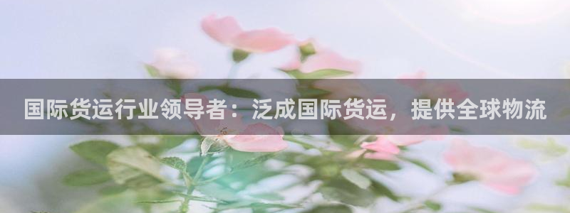 尊龙旗舰厅：国际货运行业领导者：泛成国际货运，提供全球物