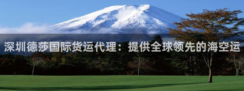 尊龙网站注册网：深圳德莎国际货运代理：提供全球领先的海空