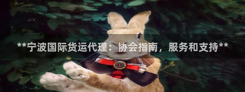 尊龙凯时最新平台登陆：**宁波国际货运代理：协会指南，服