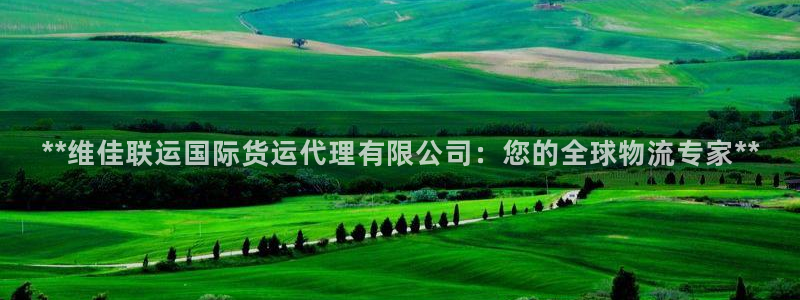 尊龙凯时企业文化：**维佳联运国际货运代理有限公司：您的