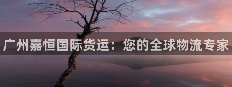 尊龙官网免费下载安装：广州嘉恒国际货运：您的全球物流专家