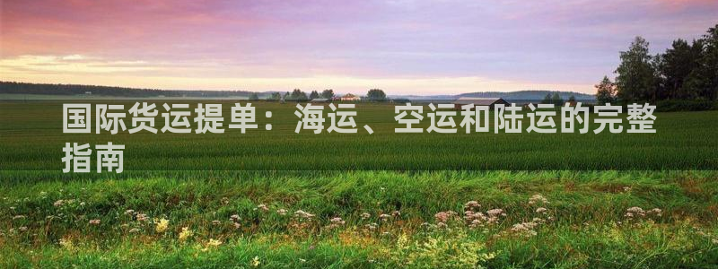 尊龙z6网址：国际货运提单：海运、空运和陆运的完整
指南