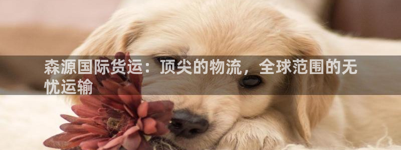 尊龙网址是多少：森源国际货运：顶尖的物流，全球范围的无
