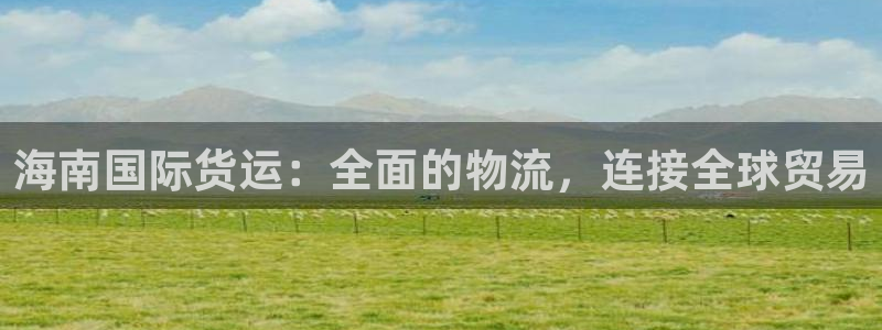 尊龙d88手机app免费下载：海南国际货运：全面的物流，